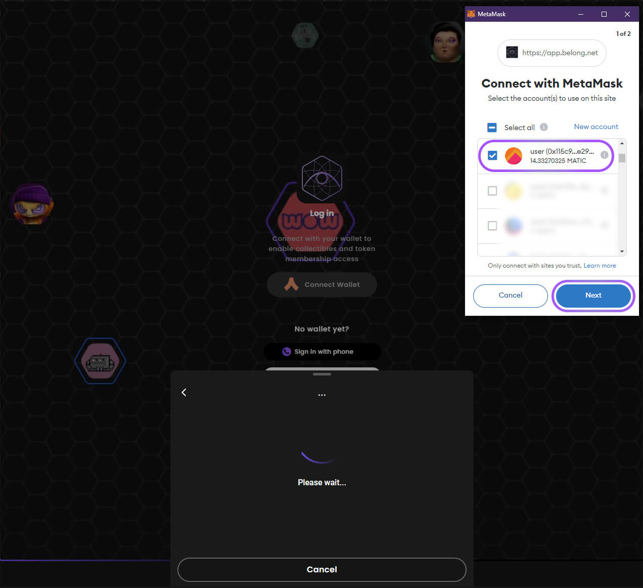 Connect MetaMask